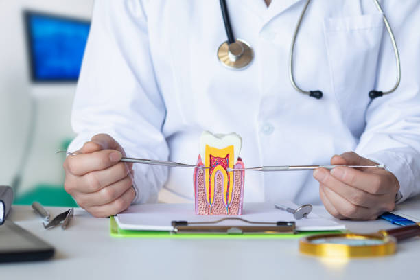 Best Chipped Tooth Repair Near Me  in Rockville Centre, NY